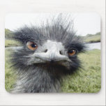 Hooks Mouse Pad<br><div class="desc">******************</div>