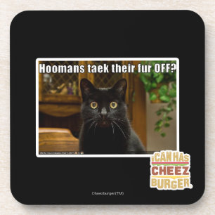 Hoomans Taek There fur OFF? Coaster