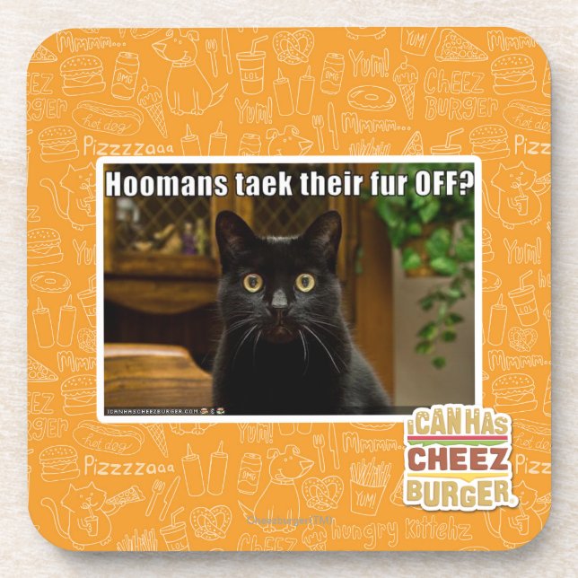Hoomans Taek There fur OFF? Coaster (Front)