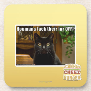 Hoomans Taek There fur OFF? Coaster