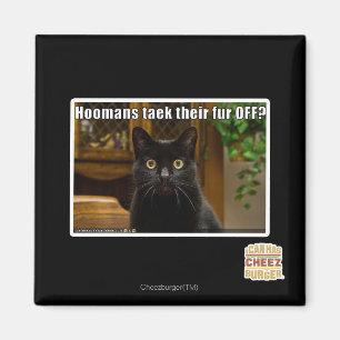 Hoomans Taek There fur OFF? Magnet