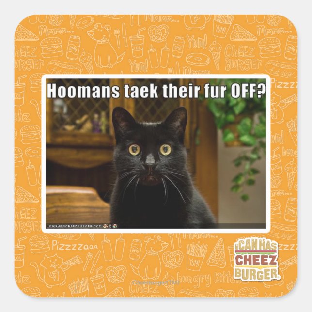 Hoomans Taek There fur OFF? Square Sticker (Front)