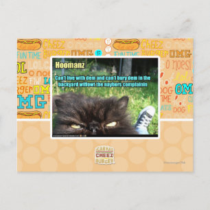 Hoomanz Postcard