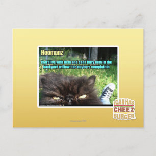 Hoomanz Postcard