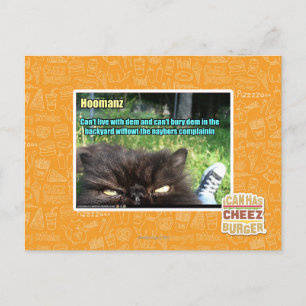 Hoomanz Postcard