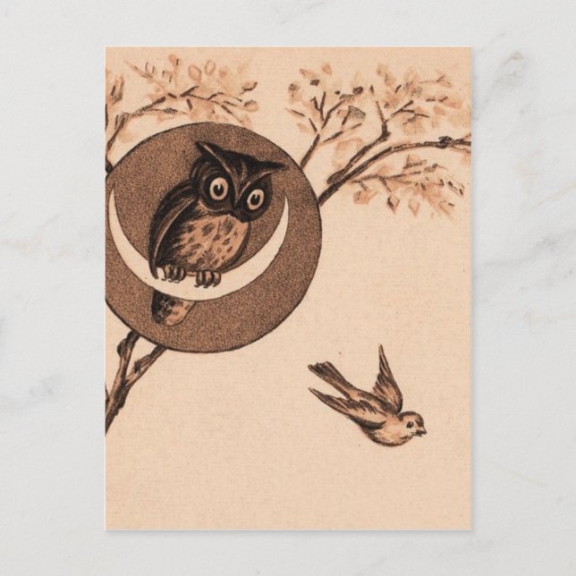 Hooooot! Postcard (Front)