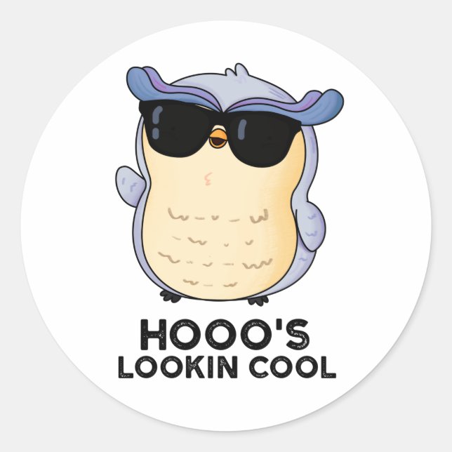 Hooo's Lookin Cool Funny Owl Pun  Classic Round Sticker (Front)