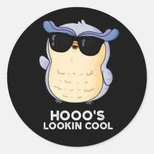 Hooo's Lookin Cool Funny Owl Pun Dark BG Classic Round Sticker