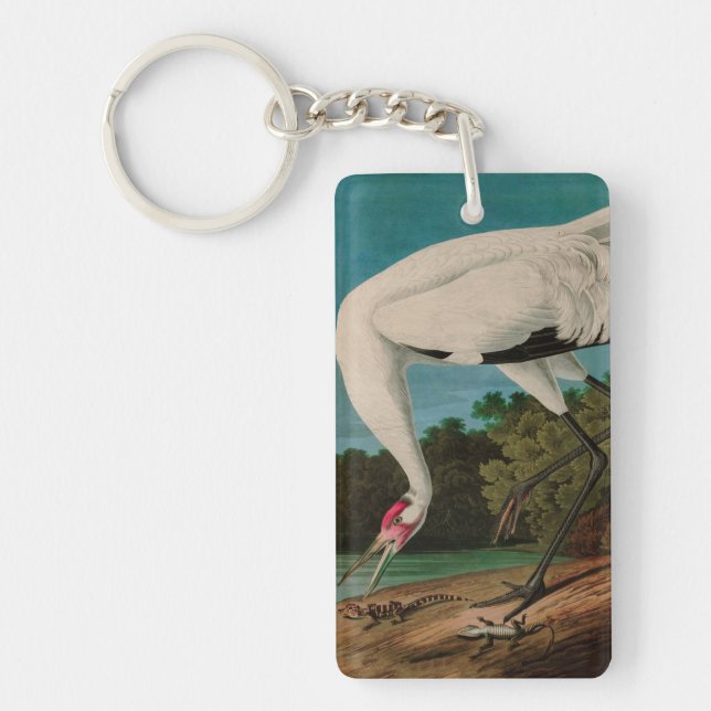 Hooping Crane Birds of America Audubon Print (Devant)