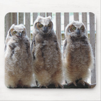 Hoot! Hoot! Hoot!  Mousepad