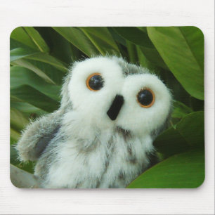 Hoot Hoot! Mouse Pad