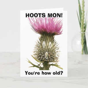 Hoots Mon! Greeting Card