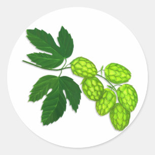 Hop Flower Botanical Art Stickers