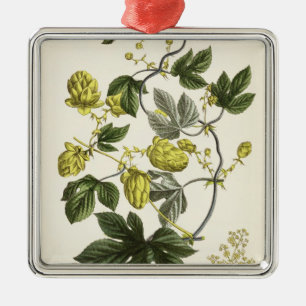 Hop Vine, from 'The Young Landsman', published Vie Metal Ornament