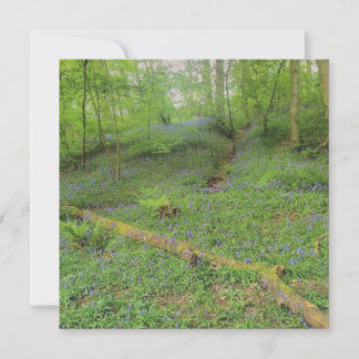 Hop Yard Wood Greetings Card