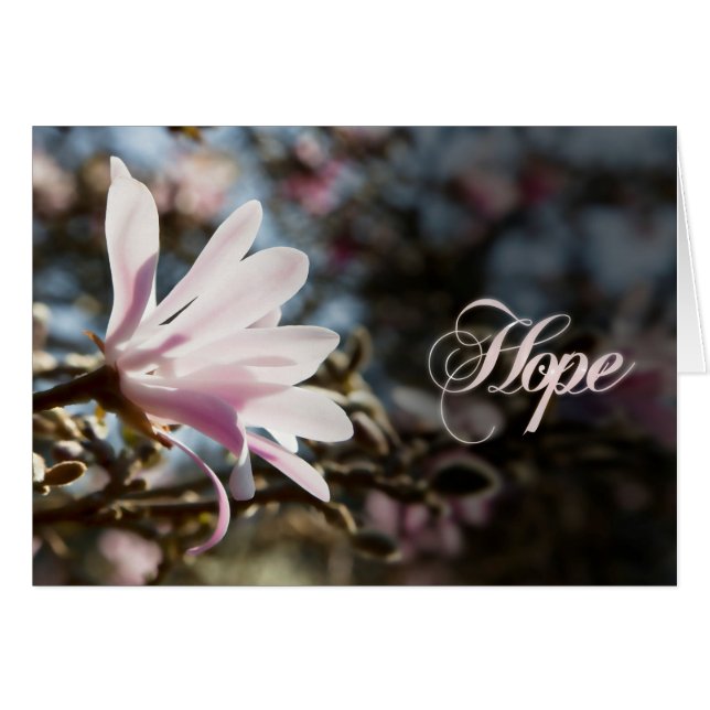 Hope (Devant horizontal)