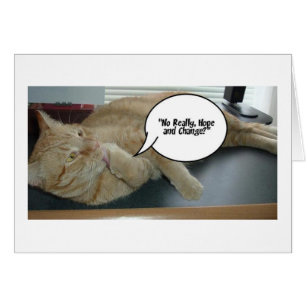 Hope and Change/Cat Humour