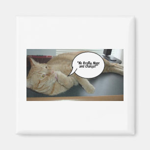 Hope and Change/Cat Humour Magnet