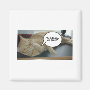 Hope and Change Magnet