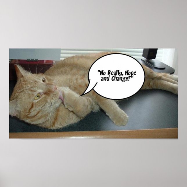 Hope and Change Orange Tabby Cat Poster (Front)