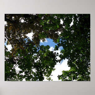 HOPE blue skies coming Poster