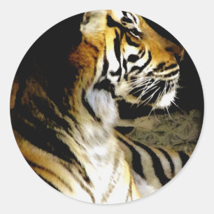 Hope_ Classic Round Sticker