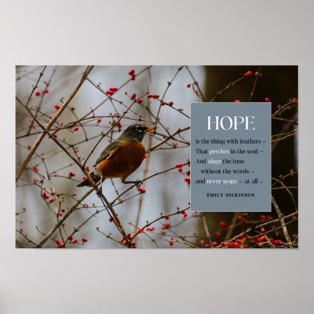 Hope Inspirational Emily Dickinson Bird Quote Poster (Front)