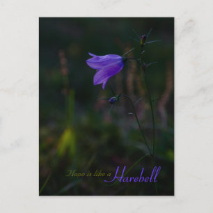 Hope is like a harebell CC0229 Postcard