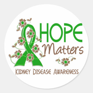 Hope Matters 3 Kidney Disease Classic Round Sticker