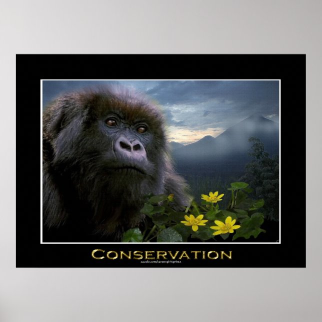 "HOPE" Mountain Gorilla Africa Wildlife Art Poster (Front)