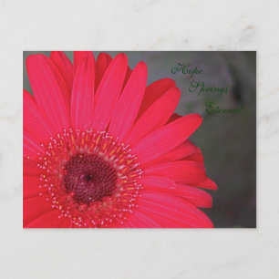 Hope Springs Eternal Postcard