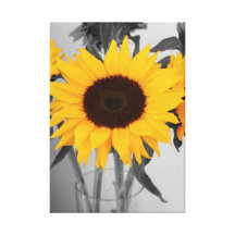 Hope Sunflower Stretched Canvas Print