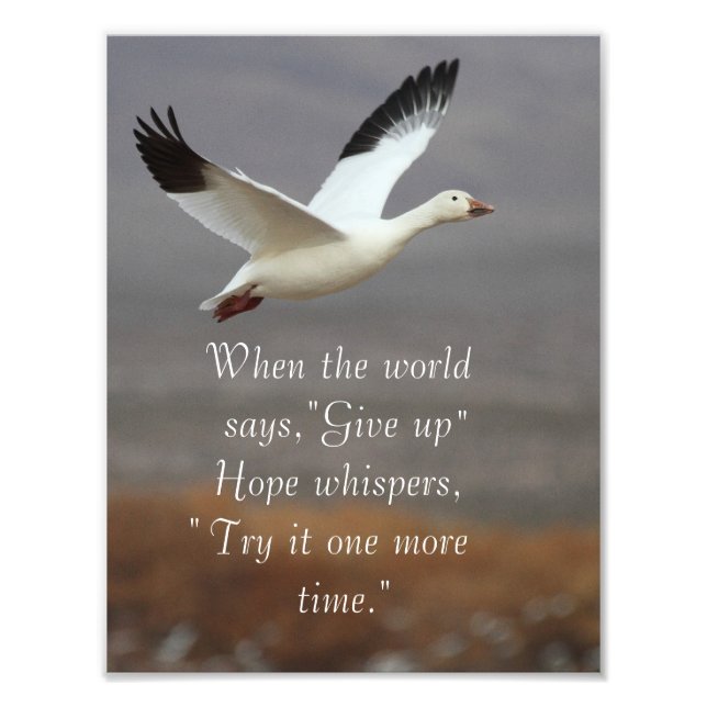 Hope whispers try it one more time photo print (Front)
