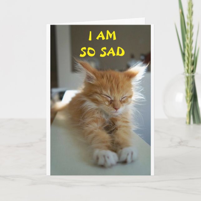 **HOPE YOU ARE FEELING BETTER** CARD (Front)