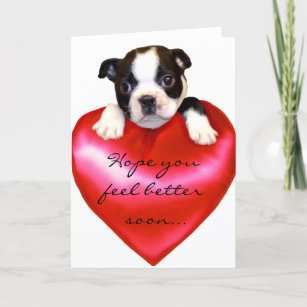 Hope you feel better Boston Terrier Greeting Card