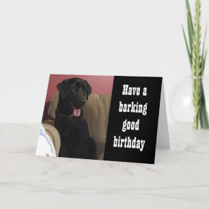 HOPE YOU GET "LOTS OF TREATS"  **BIRTHDAY** CARD