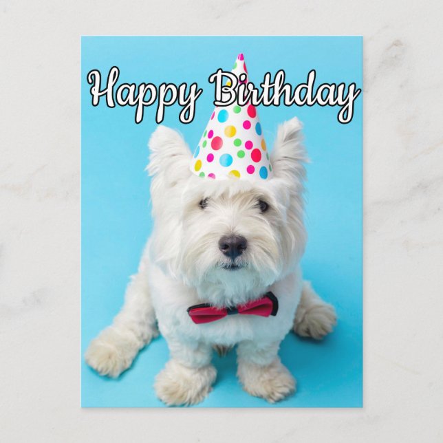 Hope You Have A Happy Birthday Postcard (Front)
