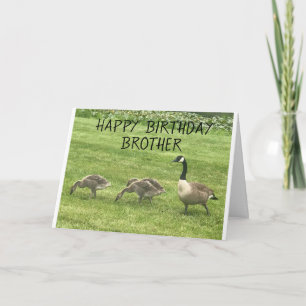 HOPE YOUR BIRTHDAY IS JUST "DUCKY" BROTHER CARD