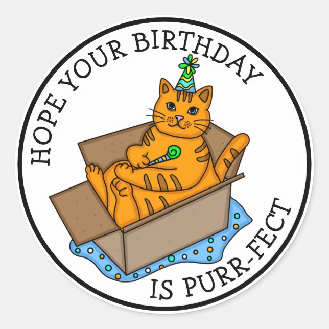 Hope your Birthday is Purr-fact Classic Round Sticker (Front)