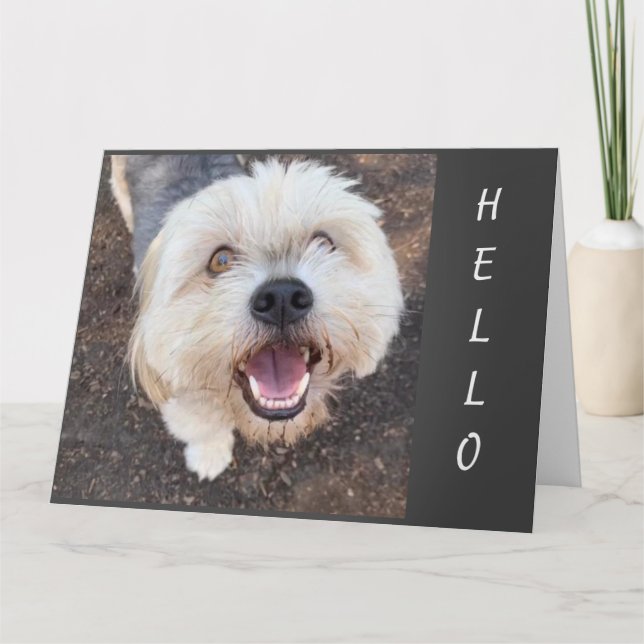 HOPE YOUR BIRTHDAY IS THE "BEST" ONE YET CARD (Front)