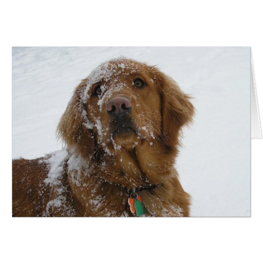 Hope Your Holidays Are Golden Card