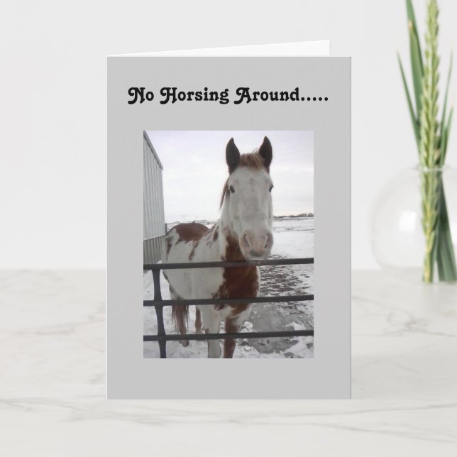 HOPEFULLY U CAN HORSE AROUND-40th Card (Front)