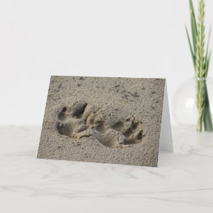Hope's Pawprints in the Sand Card