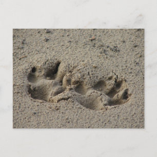 Hope's Pawprints in the Sand Postcard