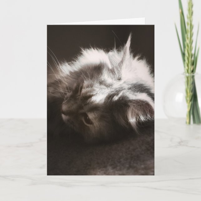 Hoping Things Look Up/Thinking of You Card (Front)