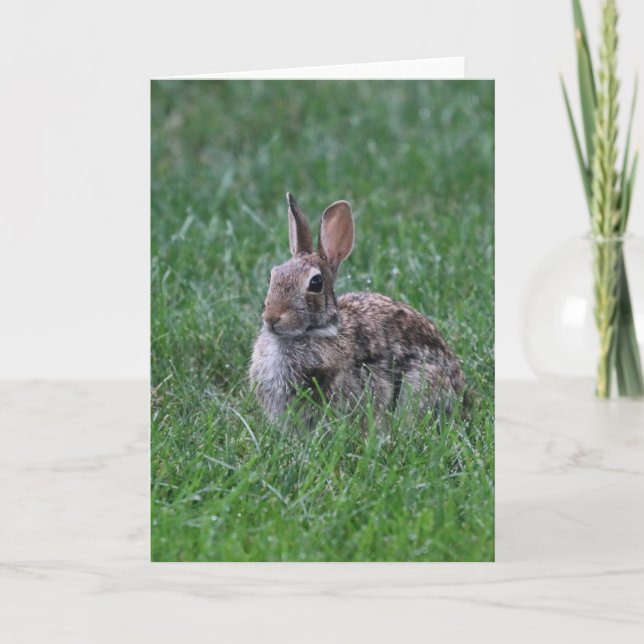 Hopping Card (Front)