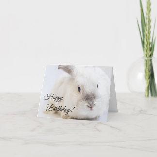 Hoppy Birthday greeting card