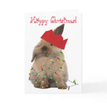 Hoppy Christmas Bunny Card