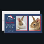 Hoppy Holidays Christmas Rabbit Pet Photocard Holiday Card<br><div class="desc">Hoppy Holidays Christmas Rabbit Pet Portrait 2 Photo Photocard</div>