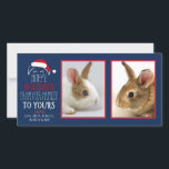 Hoppy Holidays Christmas Rabbit Pet Photocard Holiday Card<br><div class="desc">Hoppy Holidays Christmas Rabbit Pet Portrait 2 Photo Photocard</div>